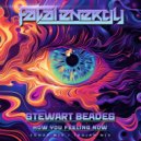 Stewart Beades - How You Feeling Now (Trojan Mix)