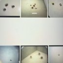 Oslablenie Priznaka - Jan6 (Original Mix)