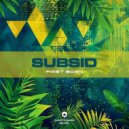 Subsid - It's About You