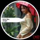 Aeris Nyx - Invisible (Original Mix)