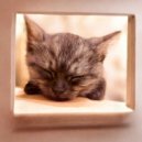 Старые взгляды на мир - полёт ()