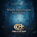 Nocturne Hollow - When the World Blinks (Original Mix)