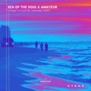Soul Of The Sea & Amateur - enough to hurt me (NO:RRA Remix)