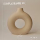 Organic Mix & Selora (MX) - Aries (Original Mix)