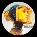 Tigran Sound - Midsea Mermaid (Original Mix)