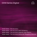 Wade Watts - The Acculous (Alexander Bogdanov Remix)