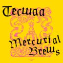 Tecwaa - Lucidity Of Fever Tunnel