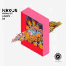 NEXUS - Hypnotic Loops 58 (Extended Mix)