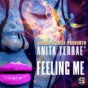 Reggie Steele pres. Anita Terrae\' - Feeling Me (Instrumental Mix)