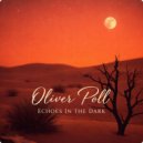 Oliver Poll - Echoes In The Dark (Original Mix)