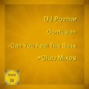 DJ Pozhar - Can You Feel The Bass (Club Mix)