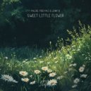 Paleni & Fred Paci & Lenny B - Sweet Little Flower ()