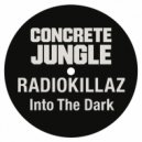 RadioKillaZ - Into The Dark (Original Mix)