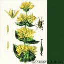 Anton Kubikov - Push It On (Original Mix)