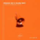 Organic Mix & Selora (MX) - Water (Original Mix)