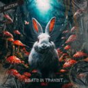 Anitek - Transmission