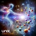 Unix - Fake Discussion (Original Mix)