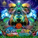 Arcek & The Insect Band - Insectopia (Remastered)