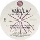 Vakula - Unique Ideogram (Original Mix)