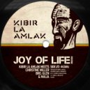 Kibir La Amlak, Maya - Joy of Life (Original Mix)