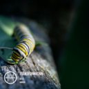 Go-z - Mnemosine (Original Mix)