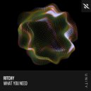 Ritchy - What You Need
