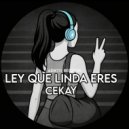 Cekay Pellegrini - Ley Que Linda Eres (Afro House Mix)