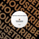 Angelo Raguso, FAW9 & Cosimo Papappicco - Oriental Express (Carlos Arresa Remix)