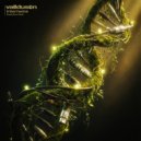 Vall Du Son feat. Erin Faith - Intertwine (Original Mix)