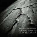 Salade Tomate - Ecos del Silencio (Original Mix)