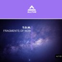T.O.M. - Fragments of Now (Radio Edit)