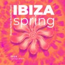 Nizza Noise, Mr. Perigo - Samba (Extended Mix)