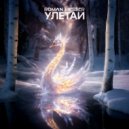 Roman Messer - Улетай (Extended Mix)