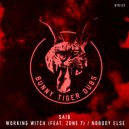 Said, Zone7 - Working Witch