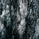 Aaron Schwarz - Parallel Motion (Original Mix)