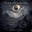 Shabboo Harper - The Echo Of Common Sense (Original Mix)