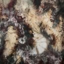 SETI Project - Goldilock Zone (Original Mix)