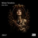 Mister Tenebrio - Drawing In Your Shadow (Original Mix)