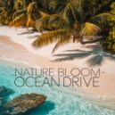 Nature Bloom - Palms on the Coastline (Original Mix)