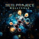 SETI Project - Desert Queen (Original Mix)