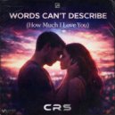 CRS - Words Can\'t Describe (Original Mix)