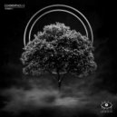 Echomorphosis - Valiant ()