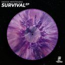 Davide Mentesana - Survival