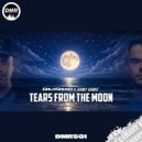 Goldsound & DANNY GRØØVE (H) - Tears From The Moon (Radio Edit)