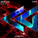 Brisa (ES) - In the air (Original Mix)