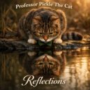 Professor Pickle The cat - Reflections (Original Mix)