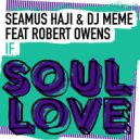 Seamus Haji & DJ Meme feat. Robert Owens - If (Extended Mix)