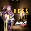 Aand Bagget - Hess