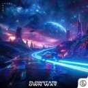 FlowState - Own Way ()
