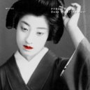 Pyroid - The Next ()